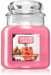 The Country Candle Company Dragonfruit Lemonade lumânare parfumată 453 g