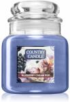 The Country Candle Company Blueberry Cream Pop lumânare parfumată 453 g
