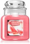 The Country Candle Company Watermelon Pops lumânare parfumată 453 g