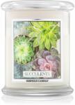 Kringle Candle Succulents lumânare parfumată 411 g