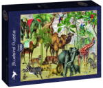 Bluebird Puzzle 1000 db-os puzzle - Desert (90266) (90266)