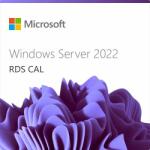 Microsoft Windows Server 2022 Remote Desktop Services (1 User/3 Year) (DG7GMGF0D7HX-0008)