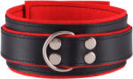 Dominate Me Leather Collar D31 Black-Red