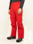 Columbia Pantaloni de schi Bugaboo 1864312 Roșu Regular Fit