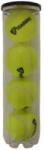 Tecnifibre Training (4 db/tubus) teniszlabda (62TRAINING)