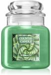 The Country Candle Company Spiral Aloe lumânare parfumată 453 g