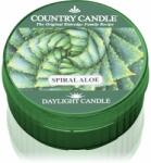 The Country Candle Company Spiral Aloe lumânare 42 g