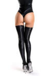 Glossy Wetlook Zipper Stockings Connie M