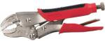 PROLINE 28217 Cleste