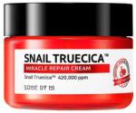 Some By Mi Snail Truecica Miracle Repair Cream 60 g