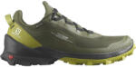 Salomon CROSS OVER GTX , Oliv , 44 2/3