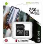 Kingston microSDXC 256GB CL10 (PLYMSD256GK10)