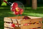 WOLF-Garten FC-M/ZM 140 gyümölcs és diófelszedő + 140 cm-es nyél (71AAM007650)