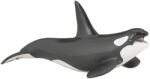 Papo Figurina Papo Marine Life - Balena ucigasa (56000) Figurina