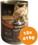 Spirit of Nature Cat konzerv Strucchússal 12x415g
