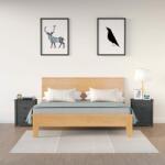 vidaXL Noptiere, 2 buc. , gri, 50x35x61, 5 cm, lemn masiv de pin (813684)