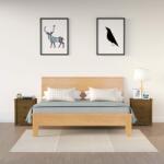 vidaXL Noptiere, 2 buc, maro miere, 50x35x61, 5 cm, lemn masiv de pin (813686)