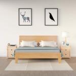 vidaXL Noptiere, 2 buc. , 50x35x61, 5 cm, lemn masiv de pin (813680)