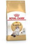 Royal Canin RAGDOLL ADULT 20 kg (2 x 10 kg) Ragdoll felnőtt macska száraz táp
