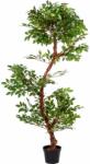 PLANTASIA Műnövény fikusz 160 cm (40010172)