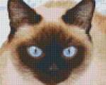 Pixelhobby 804440 Sziámi macska (25, 4x20, 3cm) 4 alaplapos szett (804440)