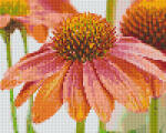 Pixelhobby 804453 Virág (25, 4x20, 3cm) 4 alaplapos szett (804453)