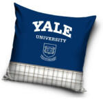 Carbotex Yale párnahuzat 40*40 cm (CBX213008YALE)