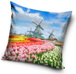 Carbotex Amsterdam párnahuzat 40*40 cm (CBX214073PNL)