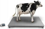  120x220 cm-es padlómérleg, 5000 kg-ig, LP7516