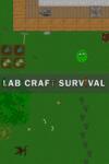 DoriTeam Lab Craft Survival (PC)