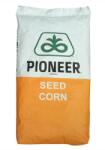Pioneer Seminte de porumb Pioneer P9241 Aquamax, FAO 330, 25.000 boabe
