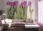 Walltastick Fototapet Violet Tulips Big