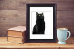 Walplus Sticker 2In1 Cute Black Cat Frame Sticker