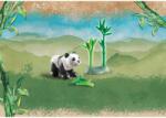 Playmobil Pui De Urs Panda (71072)