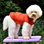  Petsoo kutyamellény vékony testű kutyáknak, narancssárga, XL-es