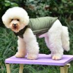  Petsoo kutyamellény vékony testű kutyáknak, zöld, XL-es