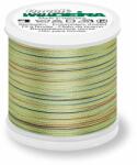 Madeira Ata de brodat Rayon No. 40 200m Madeira 9840/2303