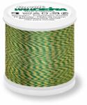 Madeira Ata de brodat Rayon No. 40 200m Madeira 9840/2211