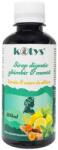 Kotys Sirop Digestiv Ghimbir si Menta 200 ml Kotys