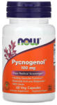 NOW Pycnogenol (Pinus Pinaster) 100 mg, Now Foods, 60 capsule