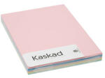 KASKAD Dekorációs karton KASKAD A/4 160 gr pasztell vegyes színek 5x25 ív/csomag (621102 (K25)) - papir-bolt