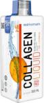 Nutriversum Collagen liquid Sugar Free 10.000 mg 500 ml