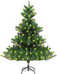 vidaXL Brad artificial de Crăciun Nordmann cu LED-uri verde 180 cm (3077474)