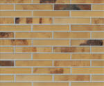 Lode ALT SOLARIS - caramida aparenta cu goluri, maro cu negru, 250x120x65 mm (ALT-SOL)