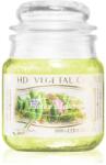 THD Vegetal Fiore E Muschio lumânare parfumată 100 g