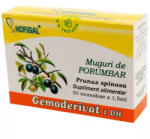 Hofigal Muguri de Porumbar Gemoderivat - 30 monodoze