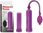 Charmly Toy Pleasure Pump Purple