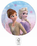 Procos Disney Frozen II Wind Spirit, Disney Jégvarázs papírtányér 8 db-os 20 cm FSC (PNN94052)