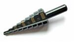RICHMANN Exclusive C9261 Burghiu