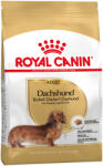 Royal Canin 2x7, 5kg Royal Canin Dachshund Adult fajta szerinti száraz kutyatáp